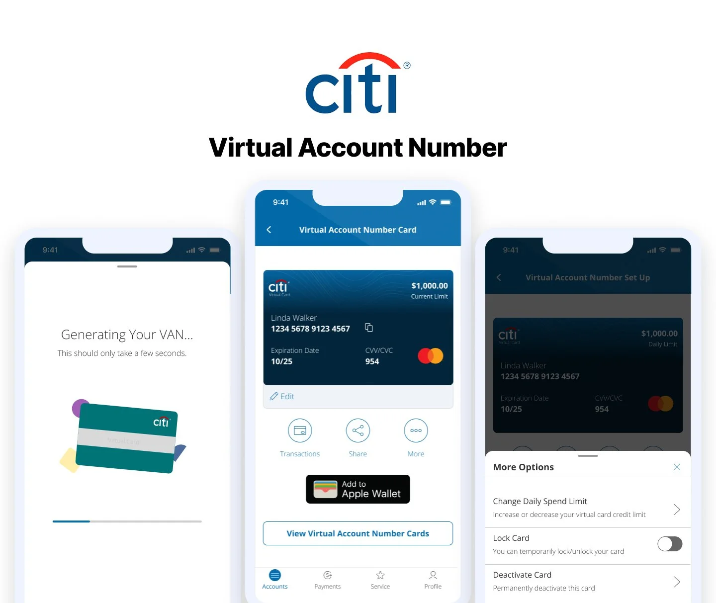 Virtual Account Number, final design